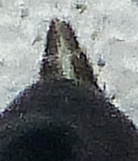Atypus muralis - kövi torzpók